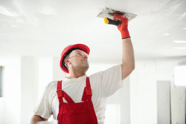 Best Drywall Sanding and Smoothing  in Chesterbrook, PA